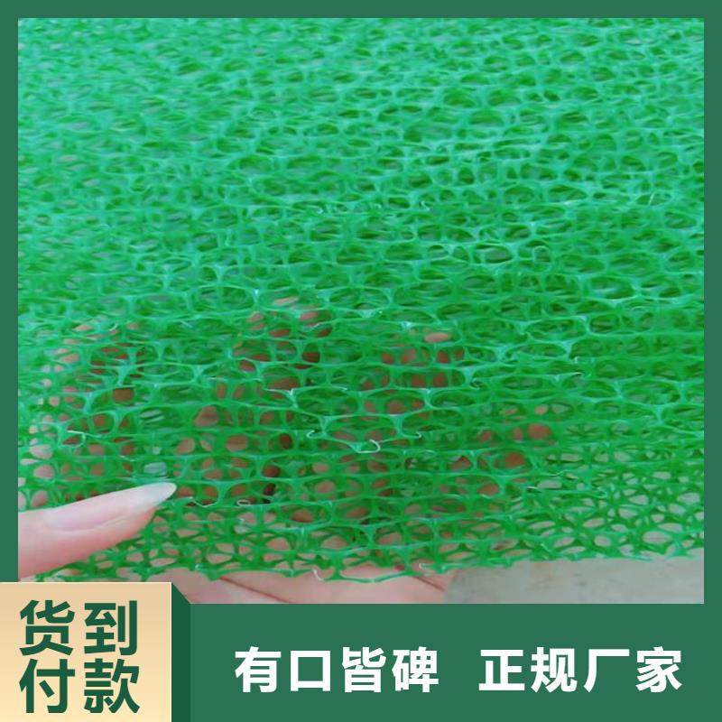 【三维植被网-塑料格栅认准大品牌厂家】