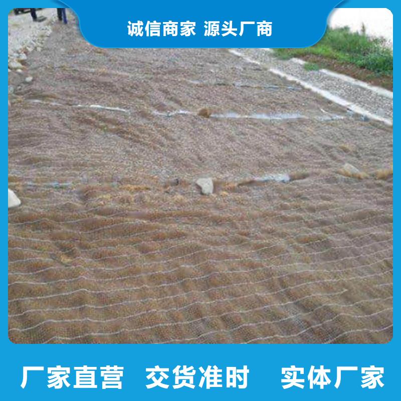 椰丝毯双向土工格栅市场行情