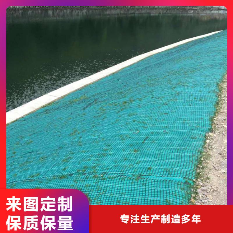 生态环保草毯-加筋抗冲生态毯