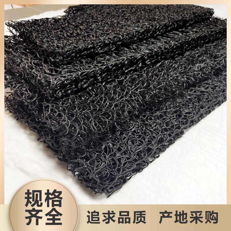 【土工席垫土工格栅全新升级品质保障】