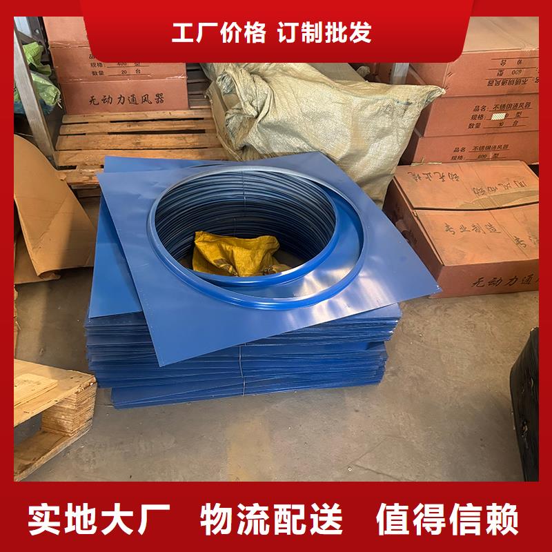 D系列四孔风帽图片