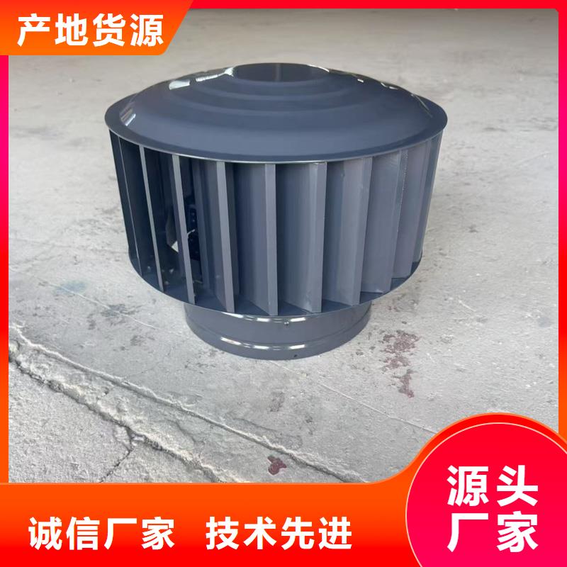 A系列排气道风帽实力老厂