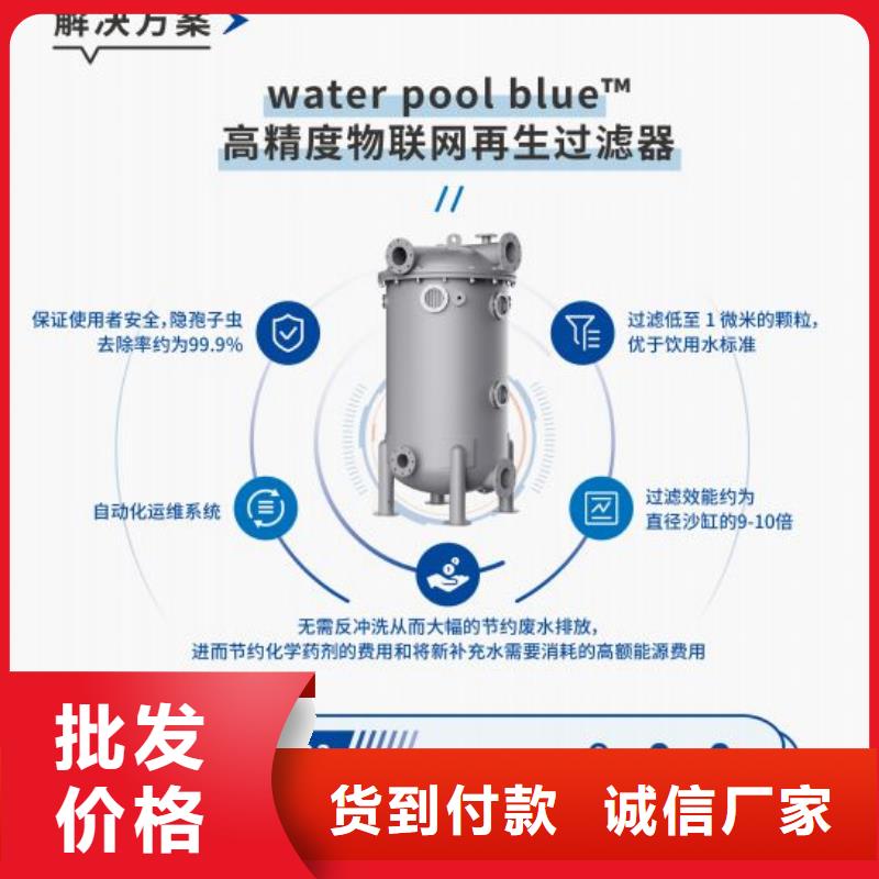直销水浦蓝
国标泳池循环再生介质滤缸