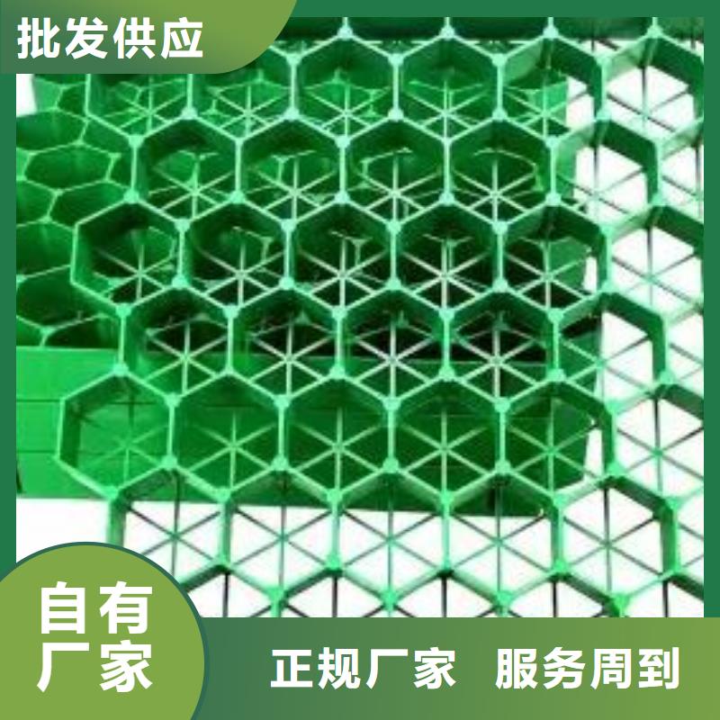 植草格植草格厂家直销供货稳定