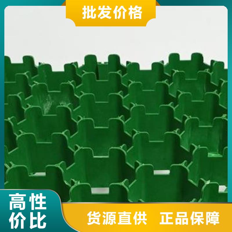 植草格植草格厂家直销供货稳定