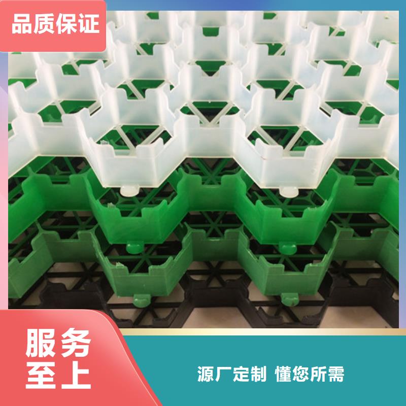 植草格-排水板大库存无缺货危机