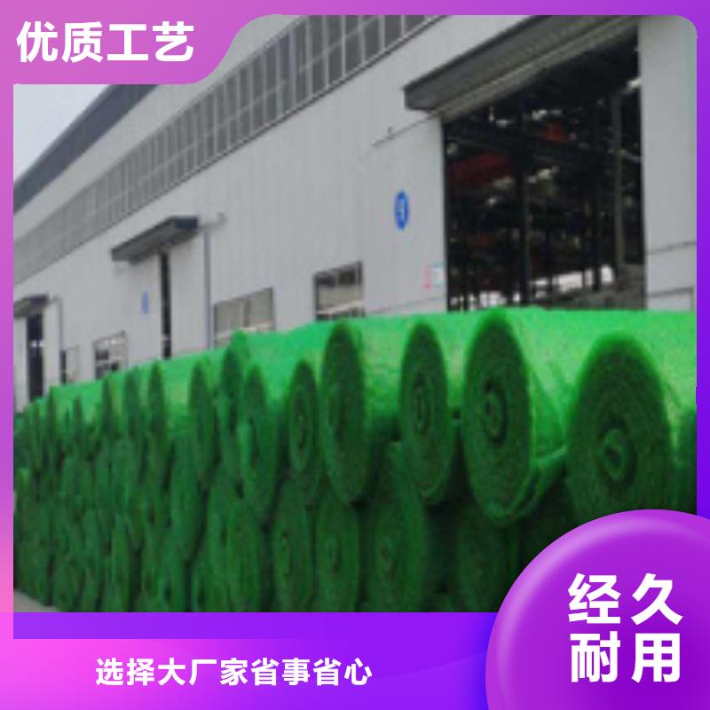 三维植被网 植草格拥有多家成功案例