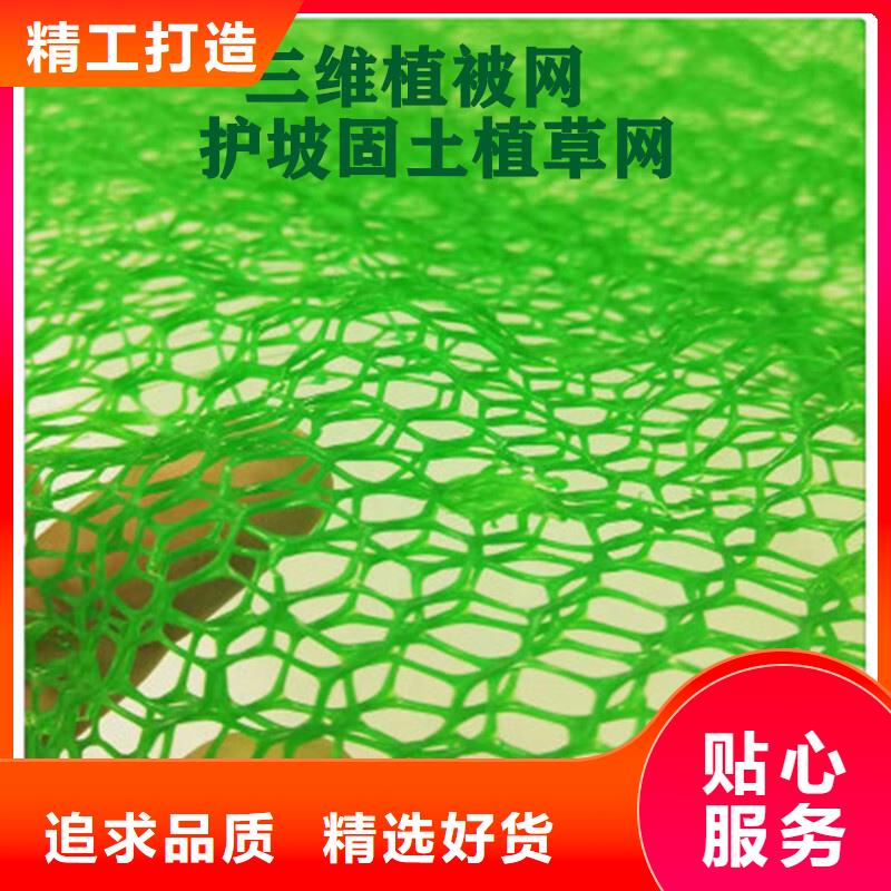 三维植被网 化粪池水泥丰富的行业经验