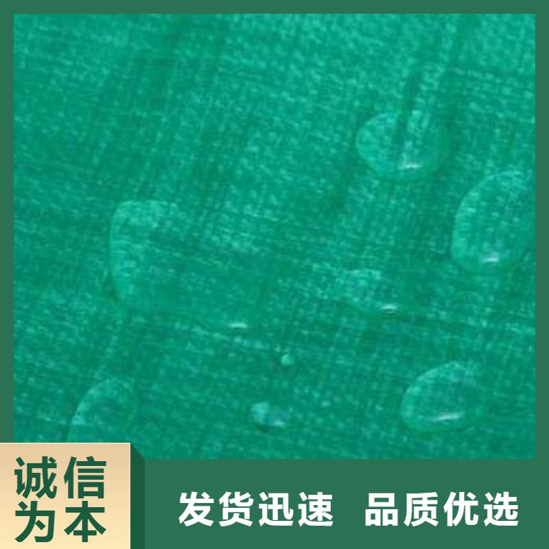 100g聚乙烯彩条布-按需定制