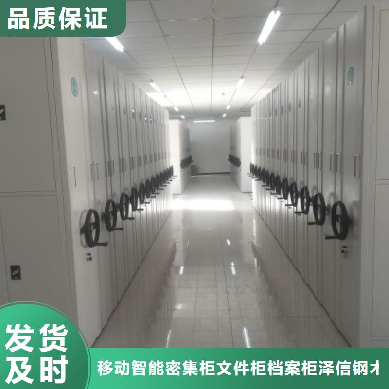 生产供应【泽信】电表挂表密集柜