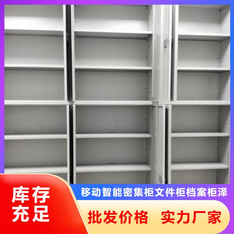 生产供应【泽信】电表挂表密集柜
