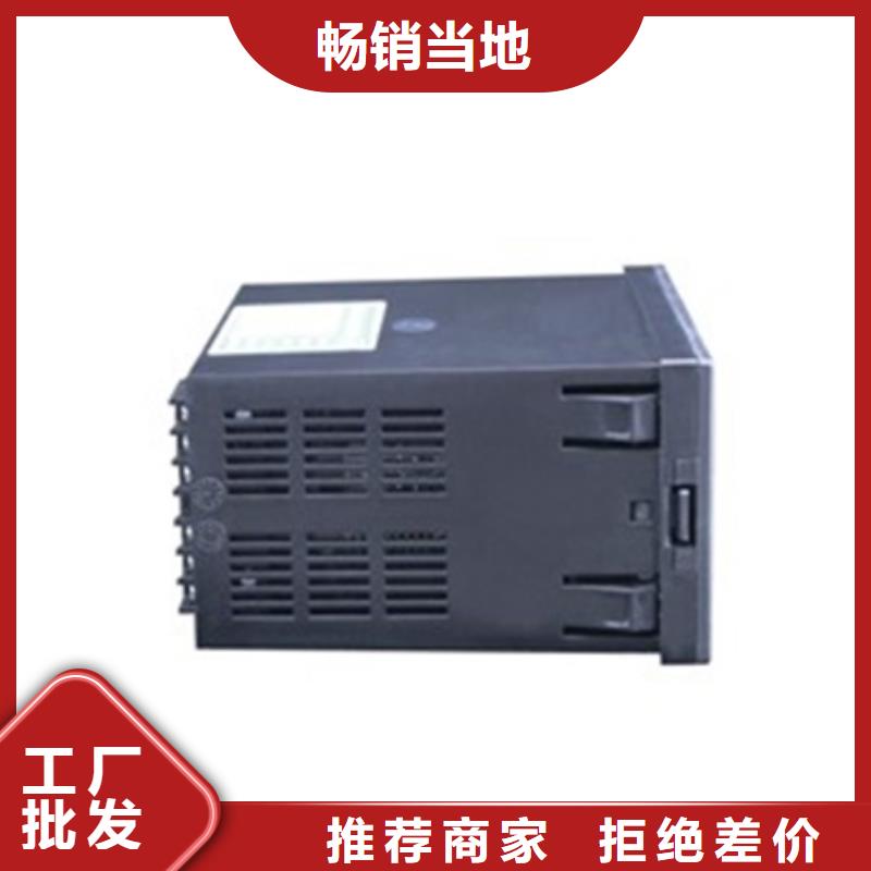 支持定制的流量积算仪SWP-LCD-NLR802-82-AAG-HL-2P-W批发商