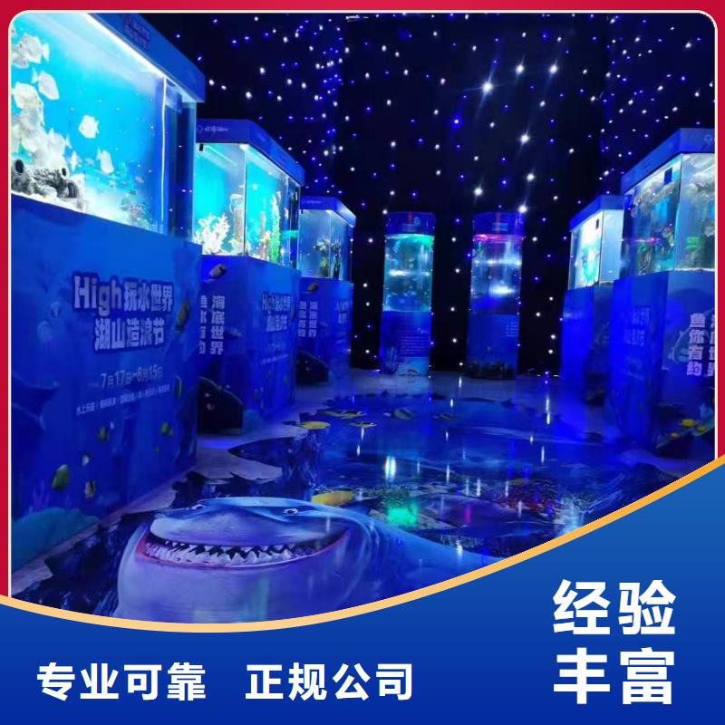 选购巴布亚企鹅【无中间商】