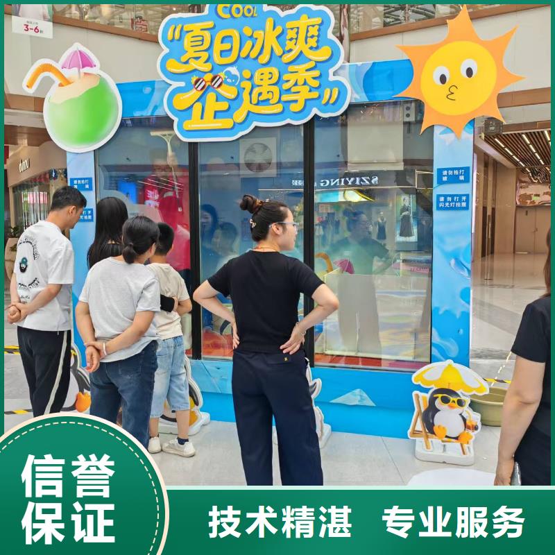 质量优的巴布亚企鹅供货商