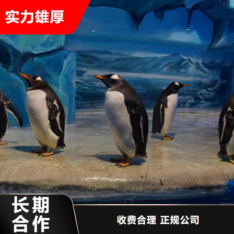 欢迎访问-帝企鹅 厂家