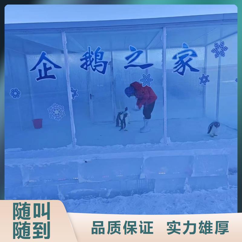 企鹅展览 企鹅展览价格