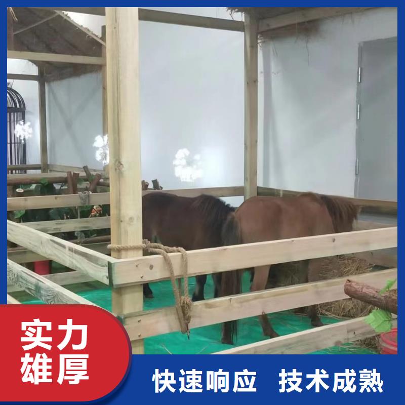 马戏团/羊驼小香猪宠物出租案例丰富