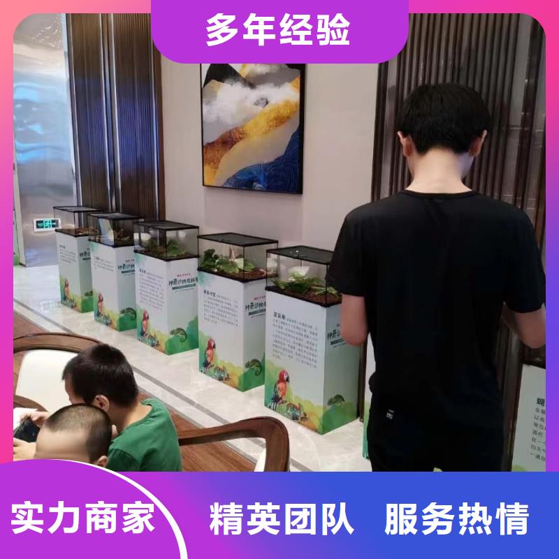 马戏团/羊驼动物展览秀高品质