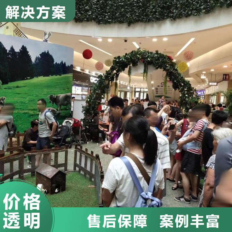 马戏团/羊驼出租动物表演免费咨询