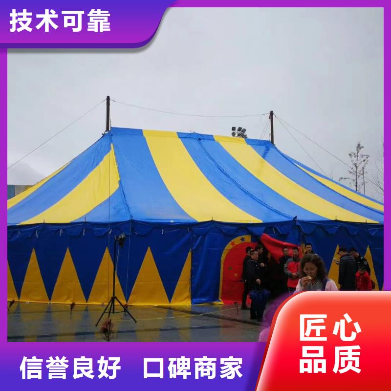 马戏团/羊驼【出租海狮表演】专业