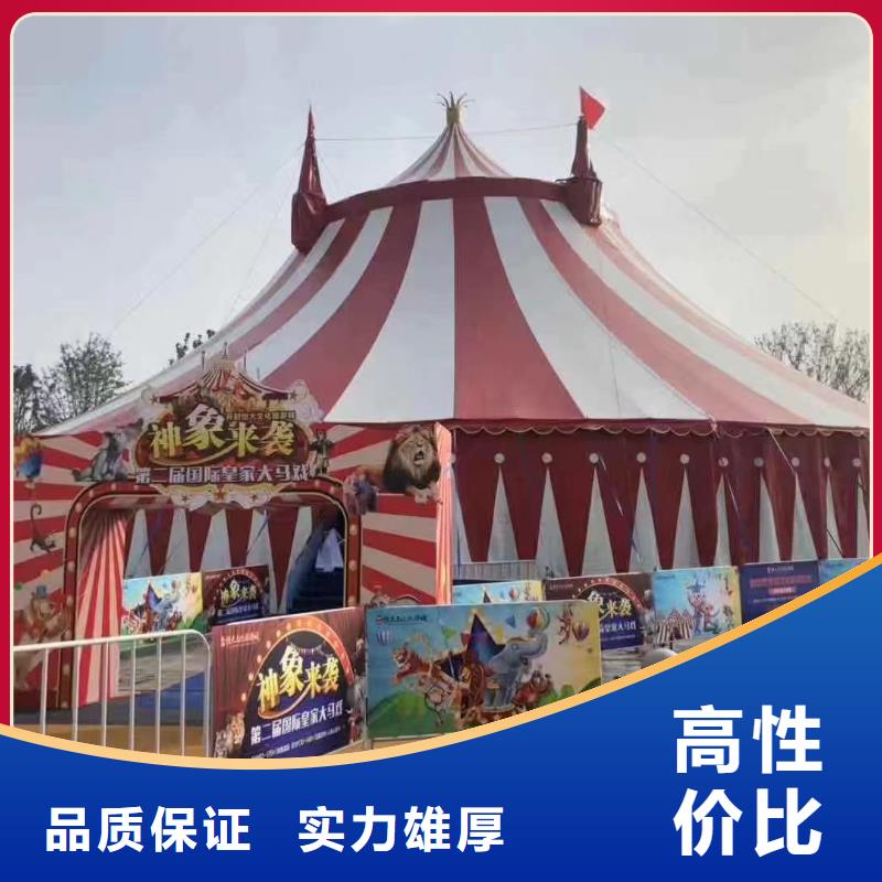 马戏团/羊驼_美人鱼表演实力雄厚