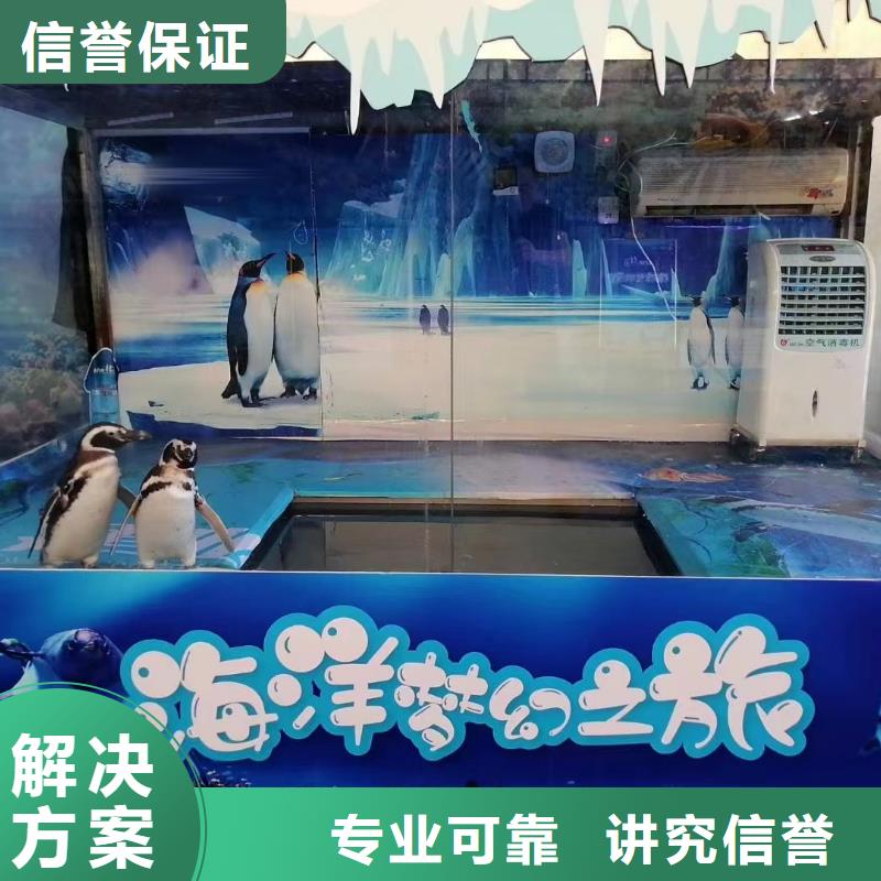 海洋生物展出租公司活动图片