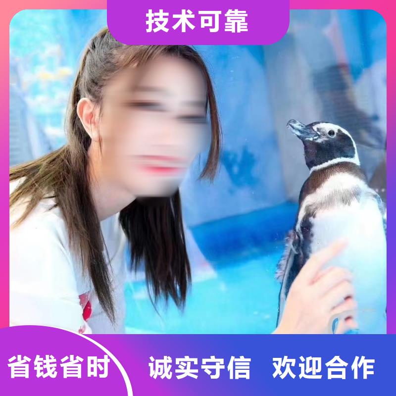 海洋主题动物表演,羊驼出租2025公司