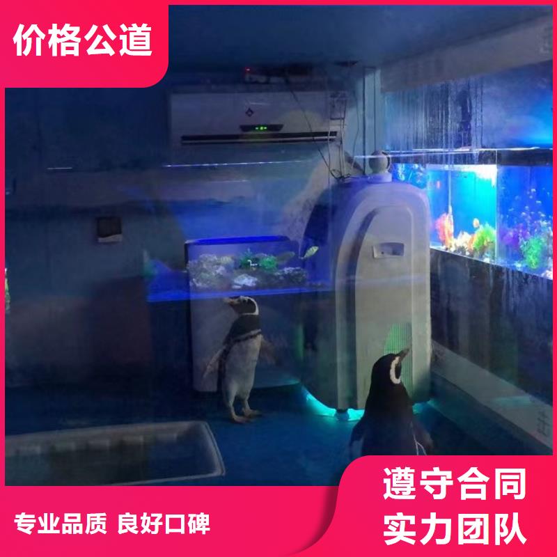 海洋生物鱼缸展出租主题展览