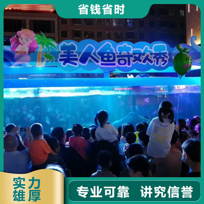 海洋主题动物表演,羊驼出租技术比较好