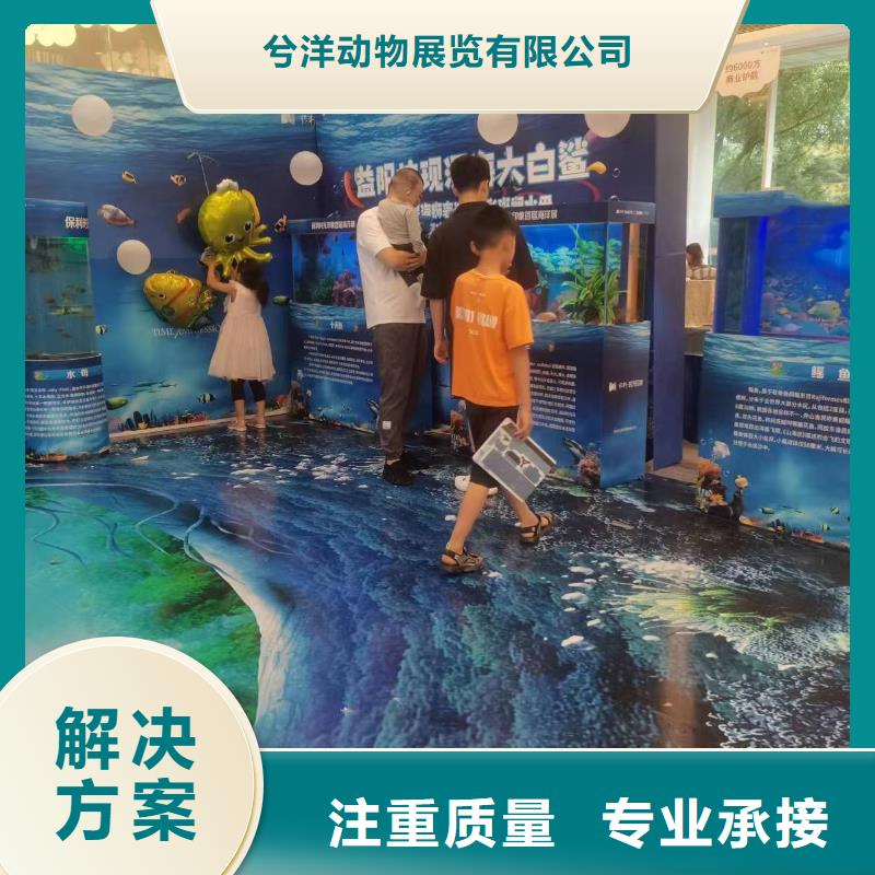 海洋生物展出租附近