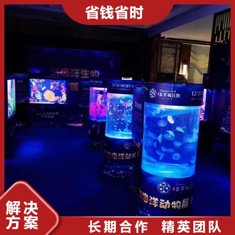 海洋生物展租赁暖场活动