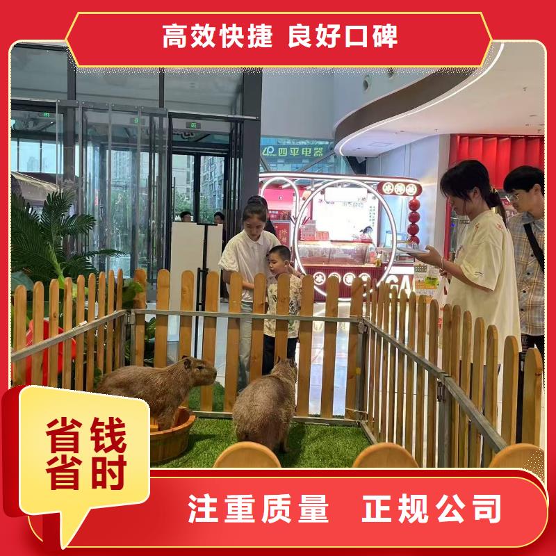 供应批发商场暖场-省钱