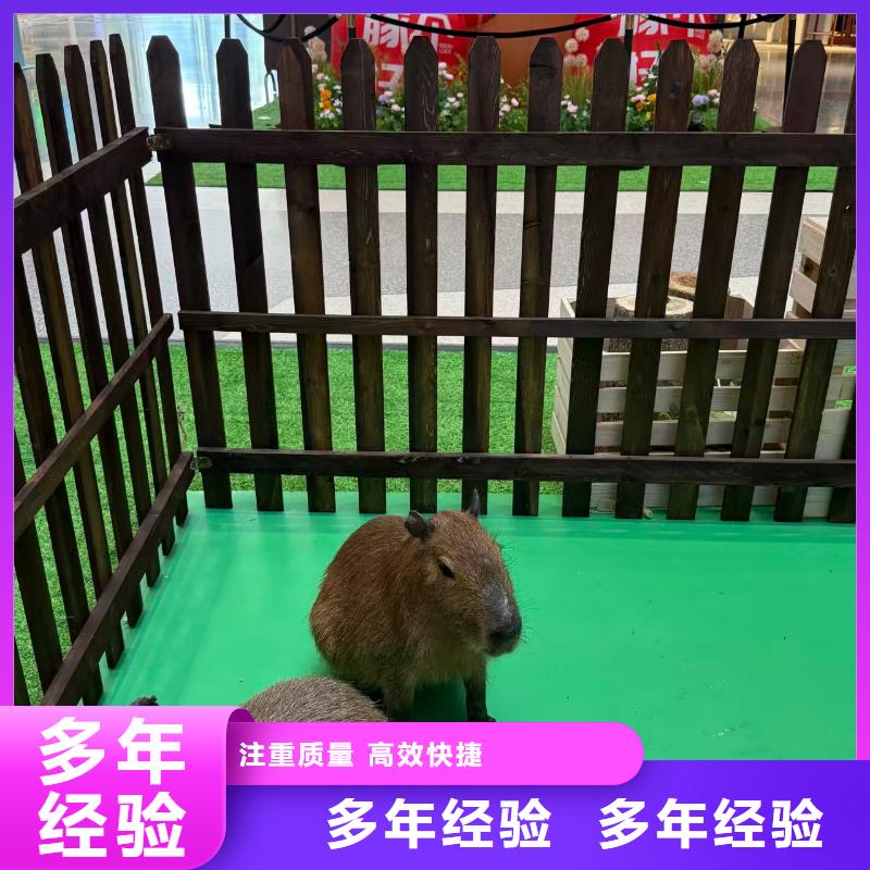 租赁资质核查、租赁资质核查生产厂家