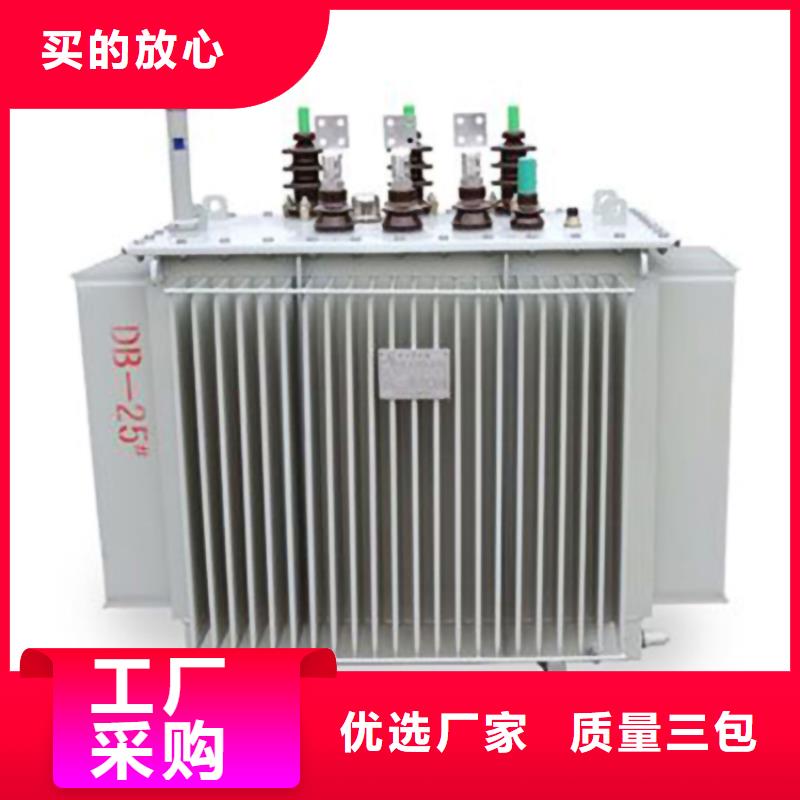 变压器厂家SH15-100KVA10/0.4KV非晶合金油浸式变压器现货价