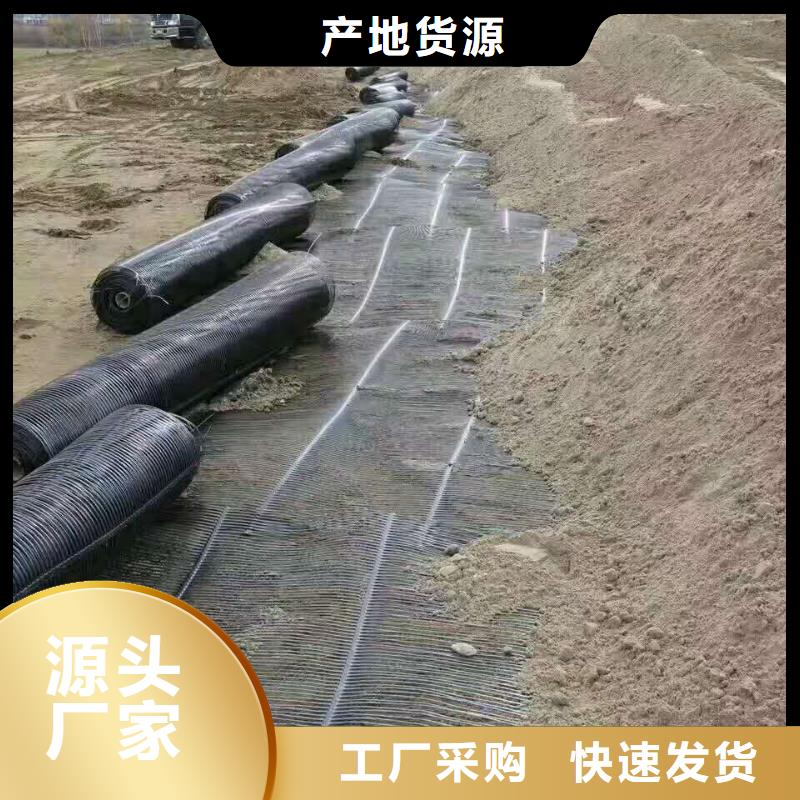 塑料土工格栅单价