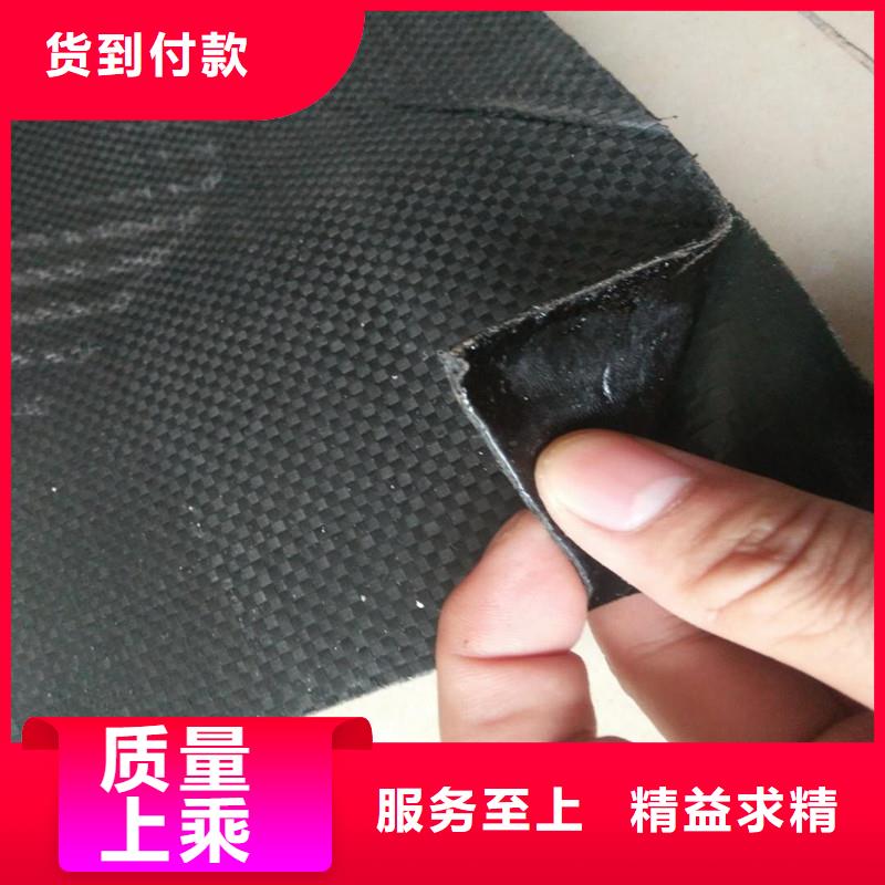 塑料土工格栅型号齐全