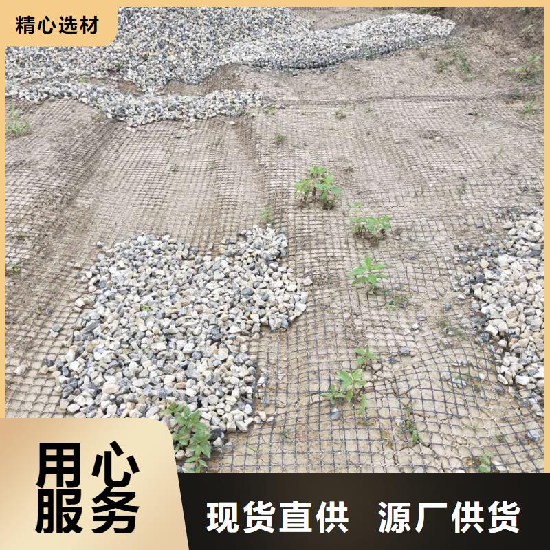 钢塑土工格栅供应商