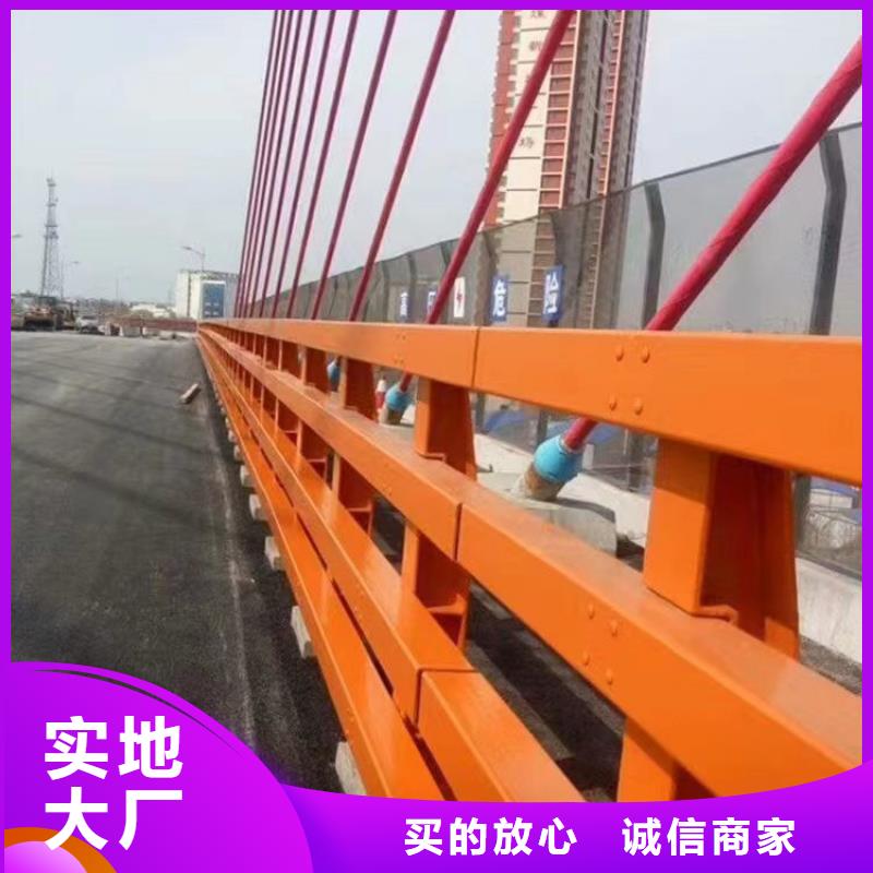 品质保证实力见证【神龙】桥梁钢护栏厂商