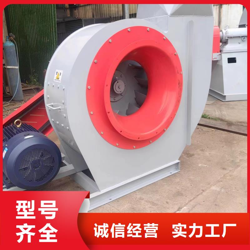 注重硫化风机质量的生产厂家