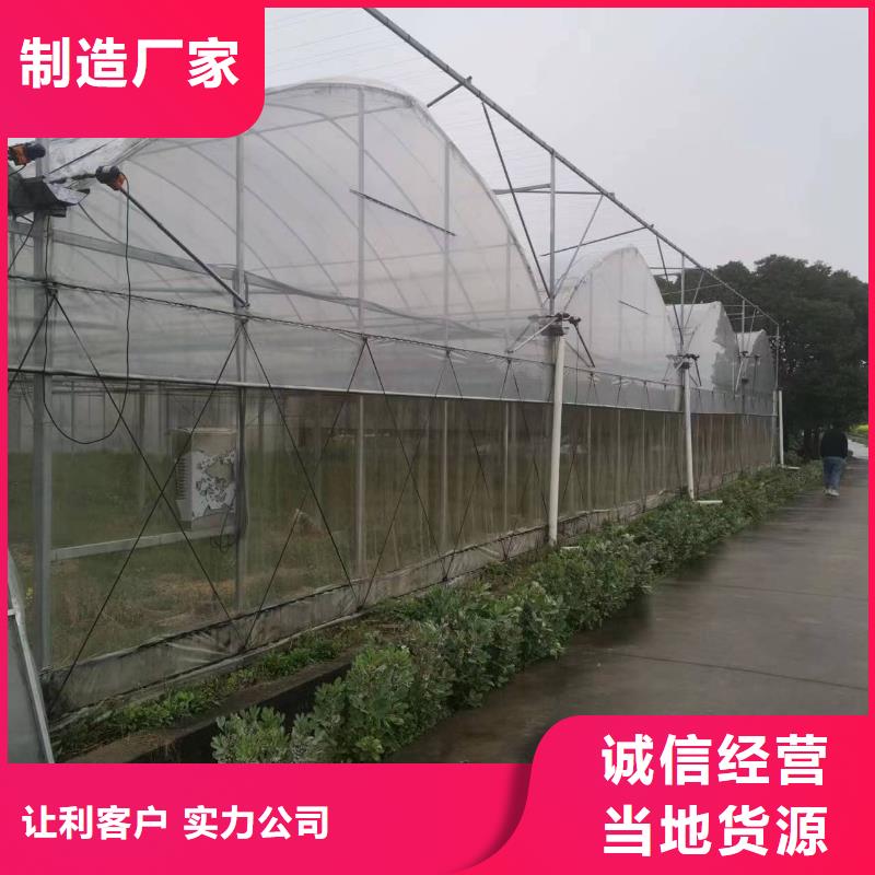 兖州区葡萄草莓蓝莓避雨大棚工厂直销