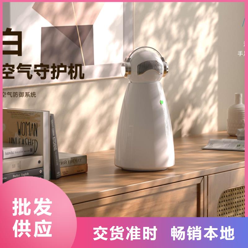 【深圳】家用空气净化器使用方法小白空气守护机