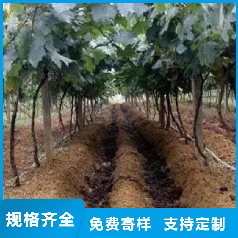 北京市可放心采购香满路羊粪有机肥哪里订货