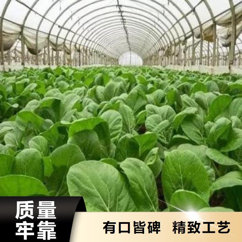 北京市可放心采购香满路羊粪有机肥哪里订货