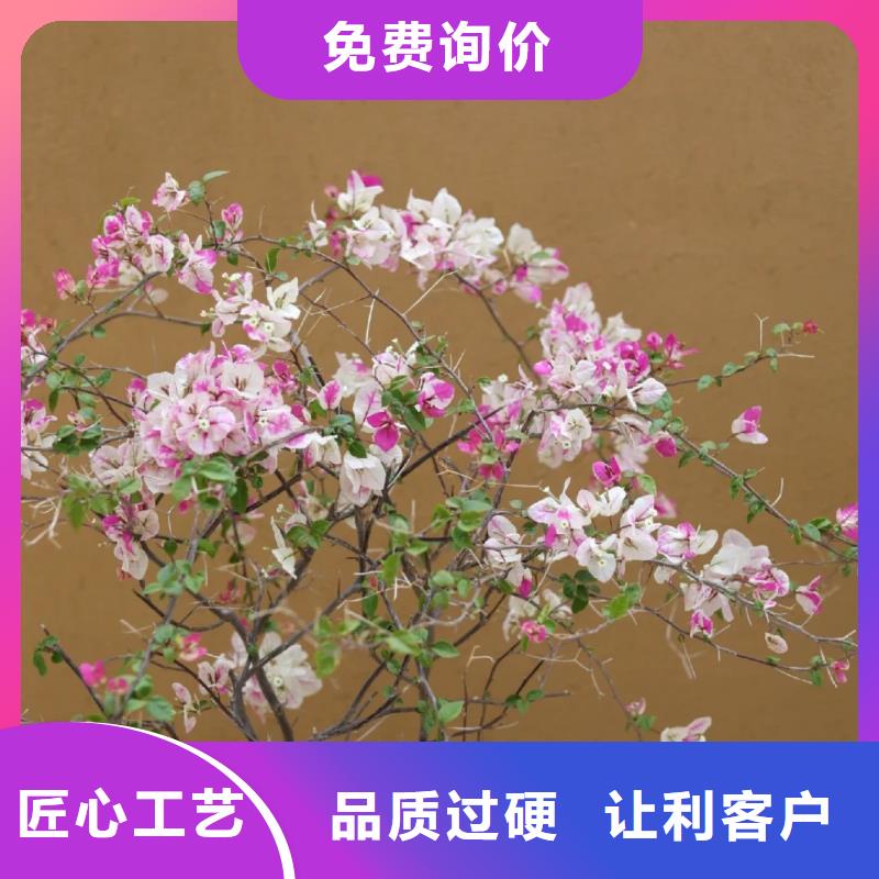 稻壳漆，仿泥巴稻草漆，美丽乡村建设，仿泥巴涂料批发价格