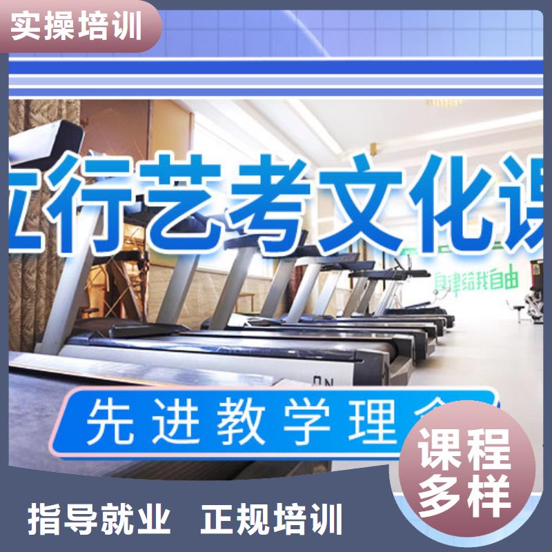 艺考文化课艺考正规学校