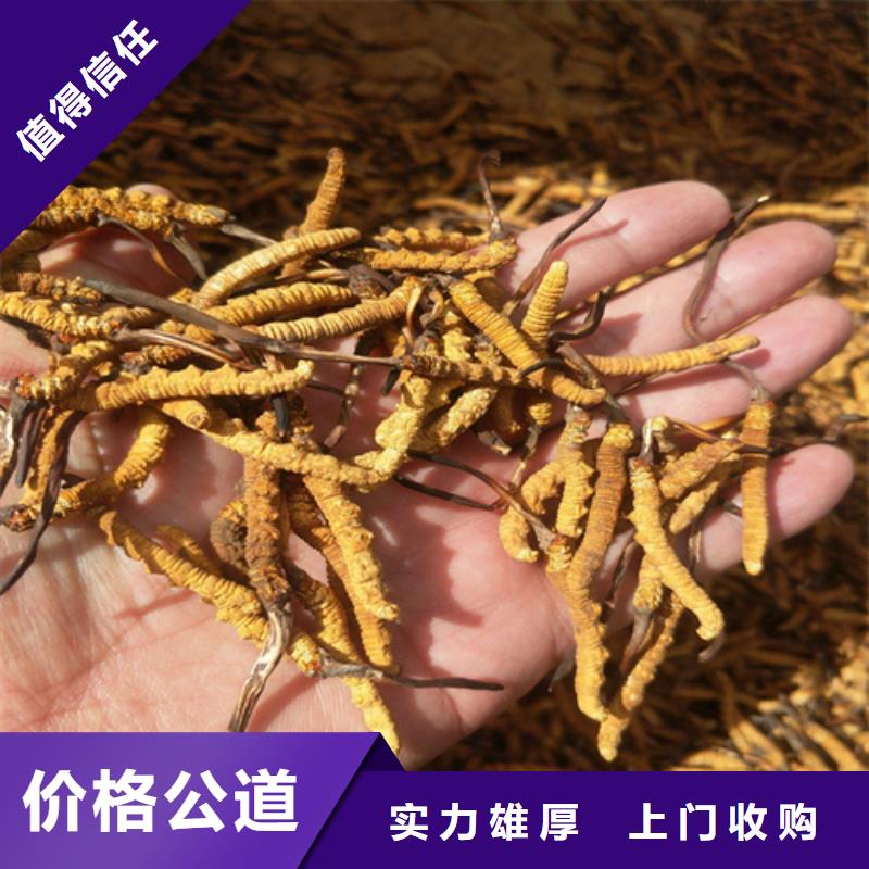 回收珍酒2025+新+排+名+一+览