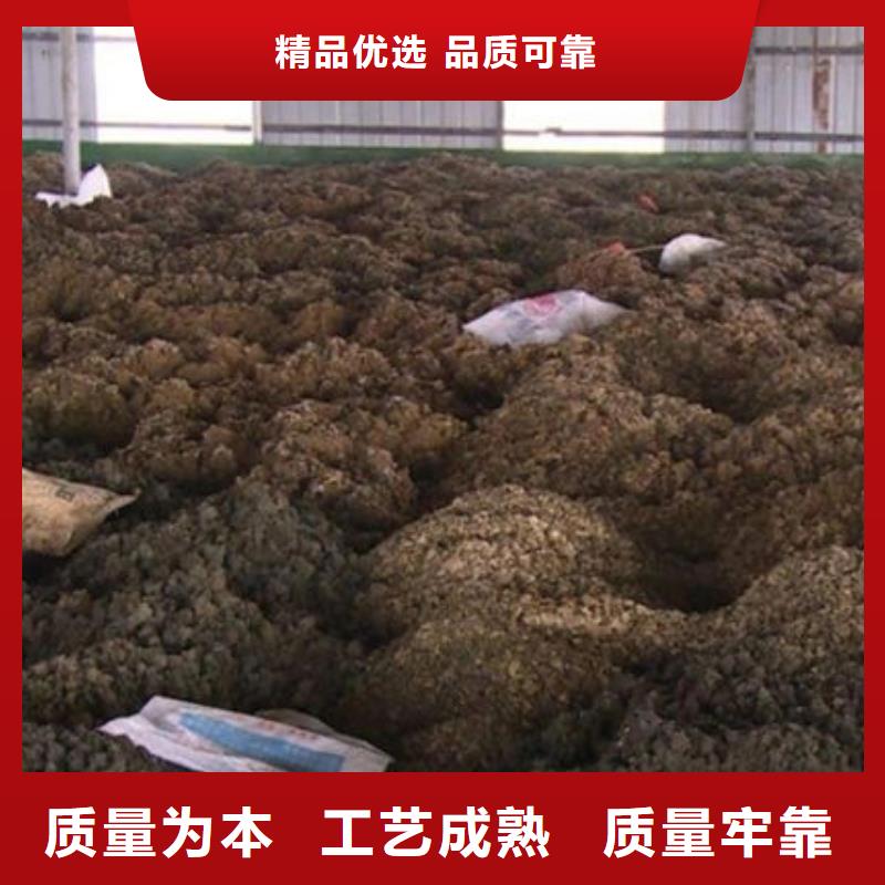 回收含铜污泥上门回收