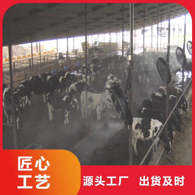 牛棚喷淋消毒除臭批发厂家