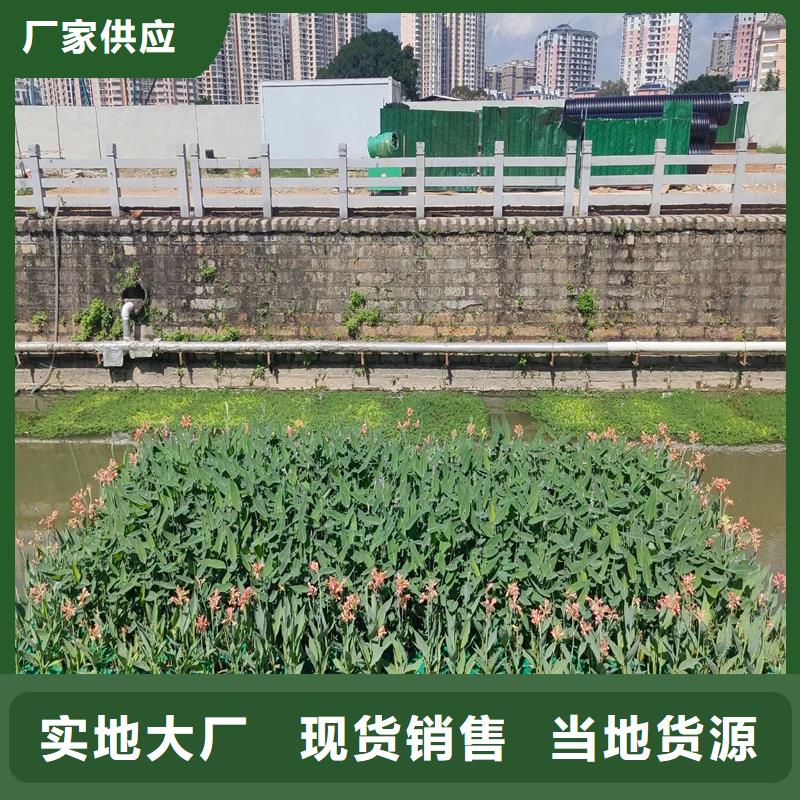 水面生态浮岛-送货上门