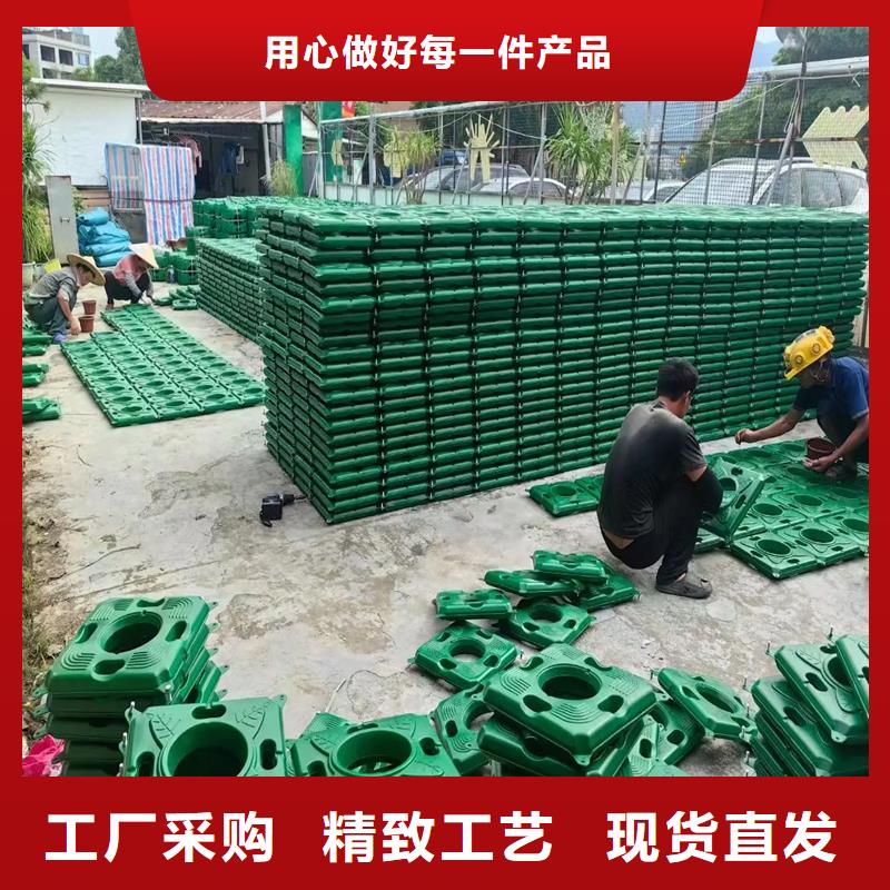 人工生态浮岛、人工生态浮岛厂家-欢迎新老客户来电咨询